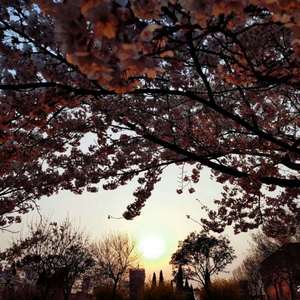 三级片在线大全
